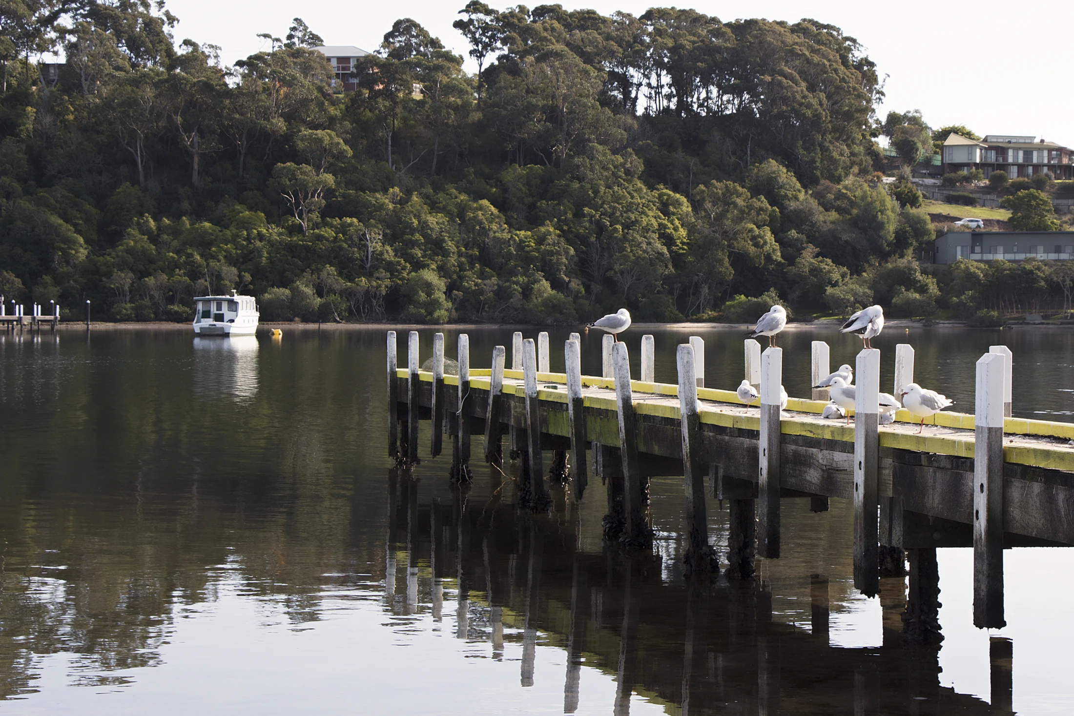Quiet morning on the Lakes Entrance jetty